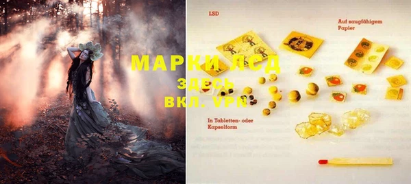 прущие грибы Нея