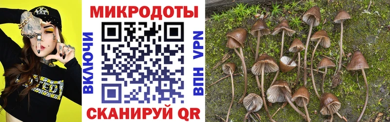 Псилоцибиновые грибы MAGIC MUSHROOMS  купить наркоту  кракен tor  Нефтеюганск 